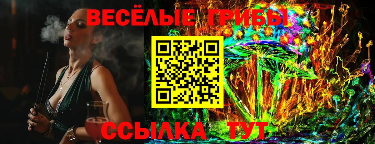 Миасс  Псилоцибиновые грибы Psilocybine cubensis  Вход с VPN  Галлюциногенные грибы GOLDEN TEACHER 
